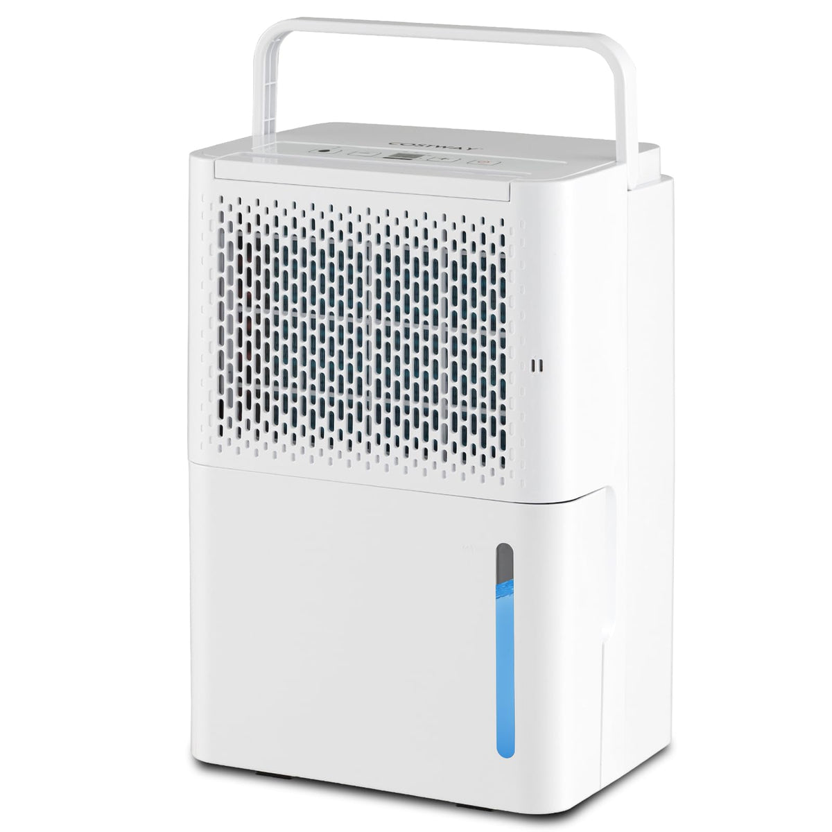 Dehumidifier for Basement