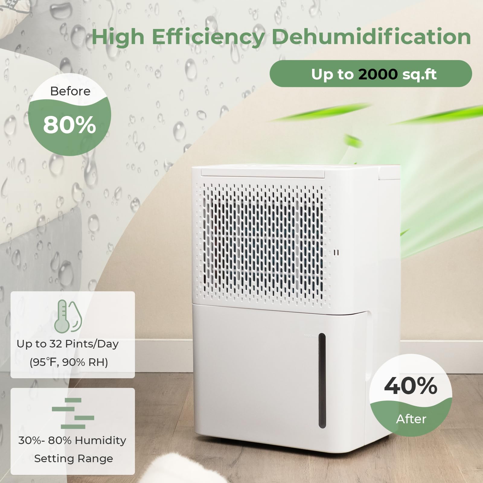 Dehumidifier for Basement