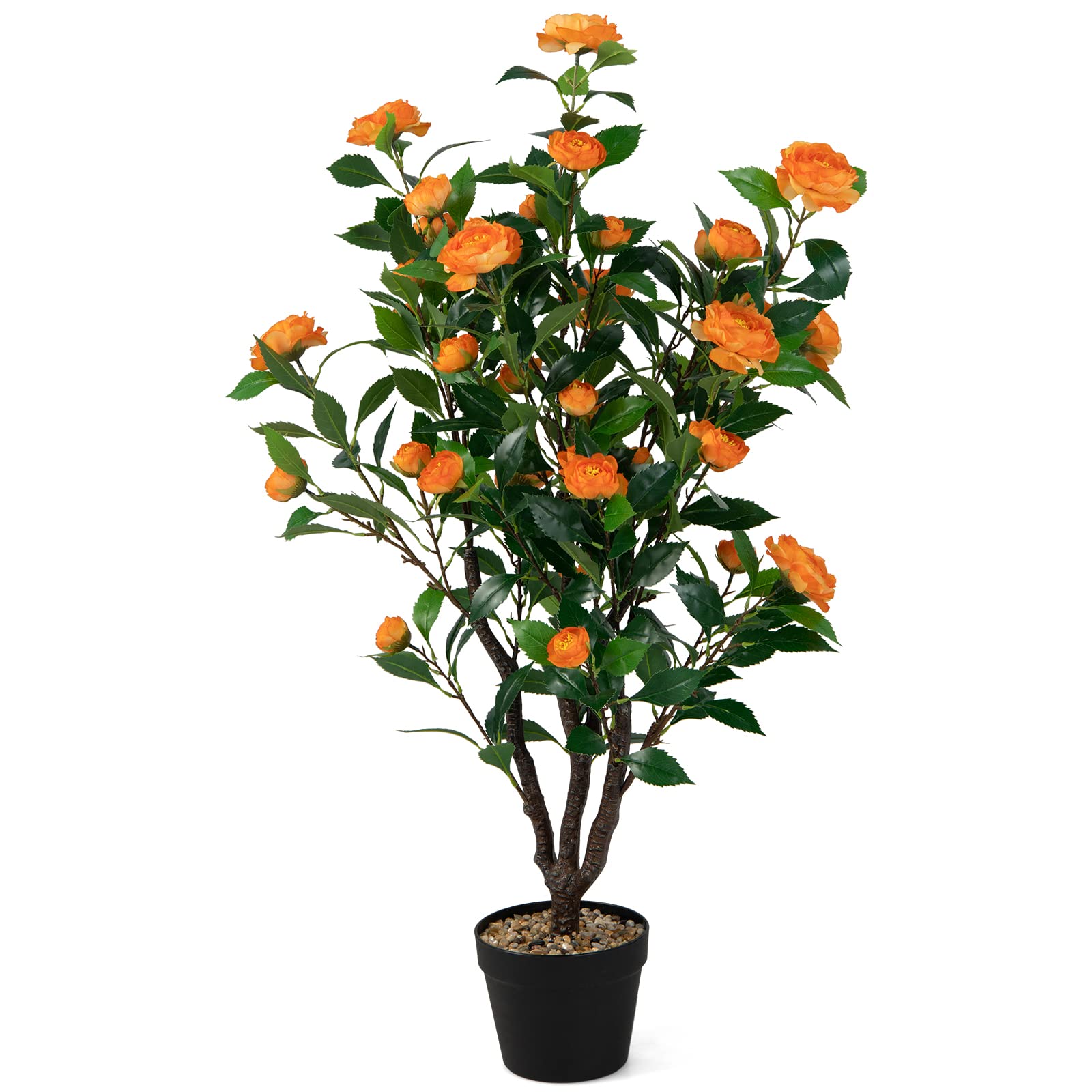 Goplus 40